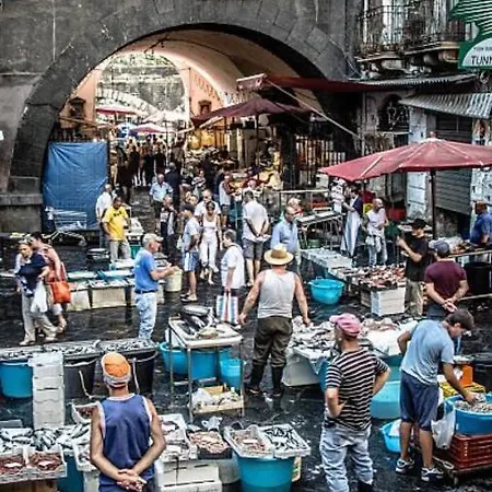 아파트 Vintage House