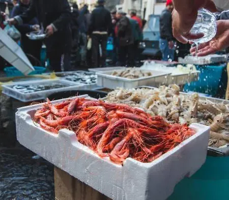 Vintage House 아파트